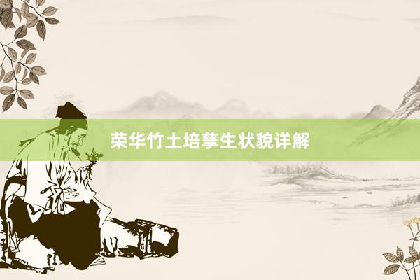 荣华竹土培孳生状貌详解