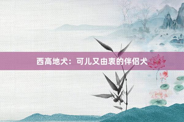 西高地犬：可儿又由衷的伴侣犬