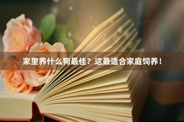家里养什么狗最佳？这最适合家庭饲养！