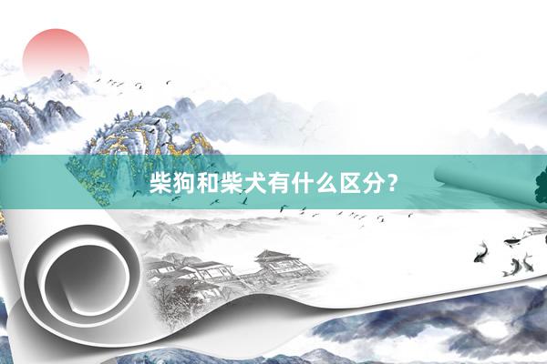 柴狗和柴犬有什么区分？