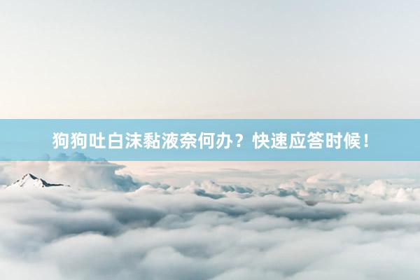 狗狗吐白沫黏液奈何办？快速应答时候！