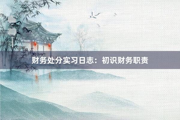 财务处分实习日志：初识财务职责